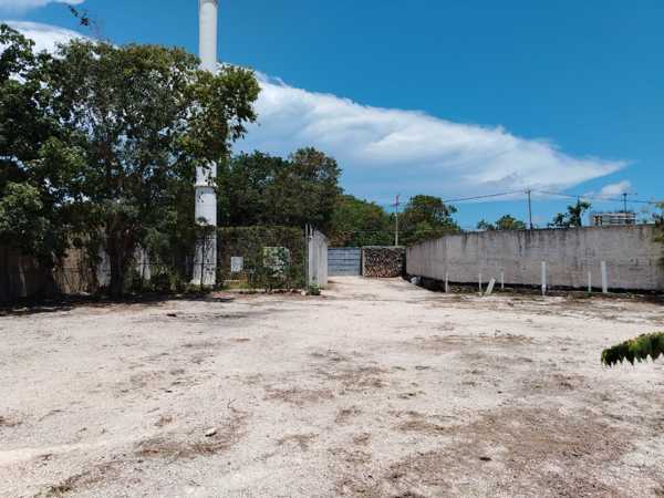Terreno en renta en Colegios, Benito Juárez — foto 3 de 7