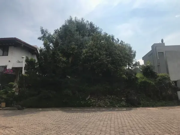 Terreno en venta en Santa Maria Tepepan, Xochimilco — foto 3 de 9