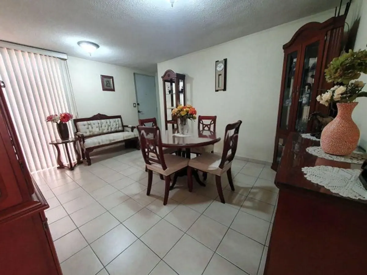Vista 5 de Venta de Departamento en Anahuac I Sección