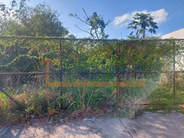 Terreno en venta en Cazones, Poza Rica de Hidalgo — foto 3 de 5