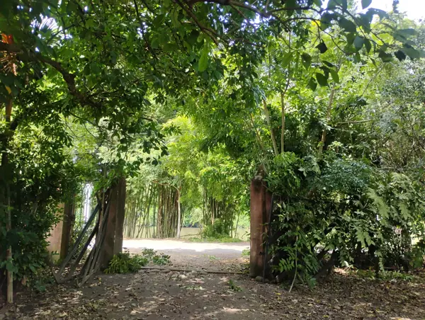 Terreno para desarrolladores