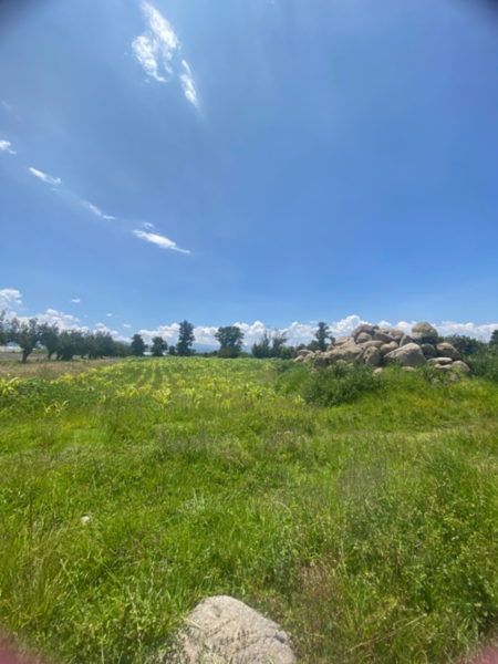 Terreno en Venta para Siembra  en San Matías Atzala San Felipe Teotlancingo  Puebla