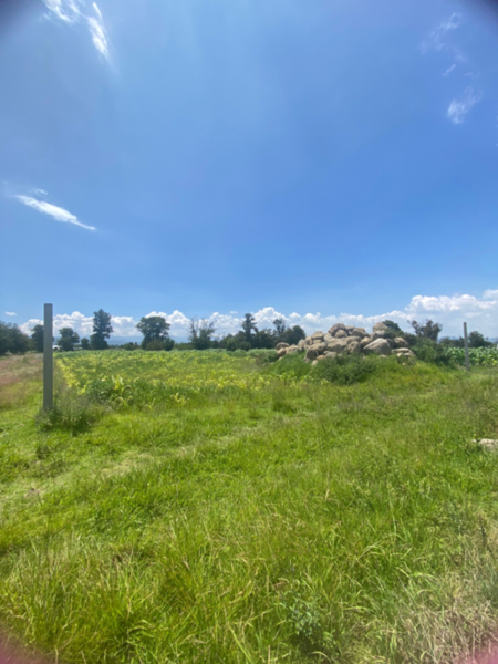 Terreno en venta en San Matias Atzala, San Felipe Teotlalcingo — foto 3 de 10