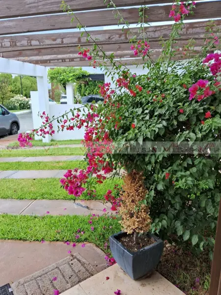Casa en renta en Villas de Guadalupe, Saltillo — foto 2 de 14
