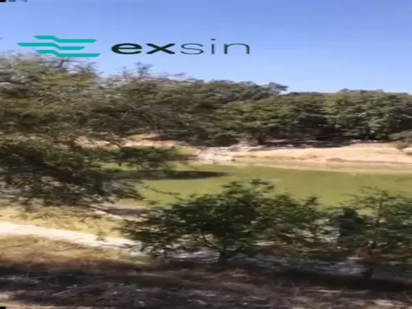 Terreno en venta en Campestre Haras, Amozoc — foto 3 de 6