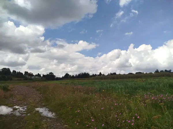 Terreno en venta en Xhimójay, Jilotepec — foto 3 de 7