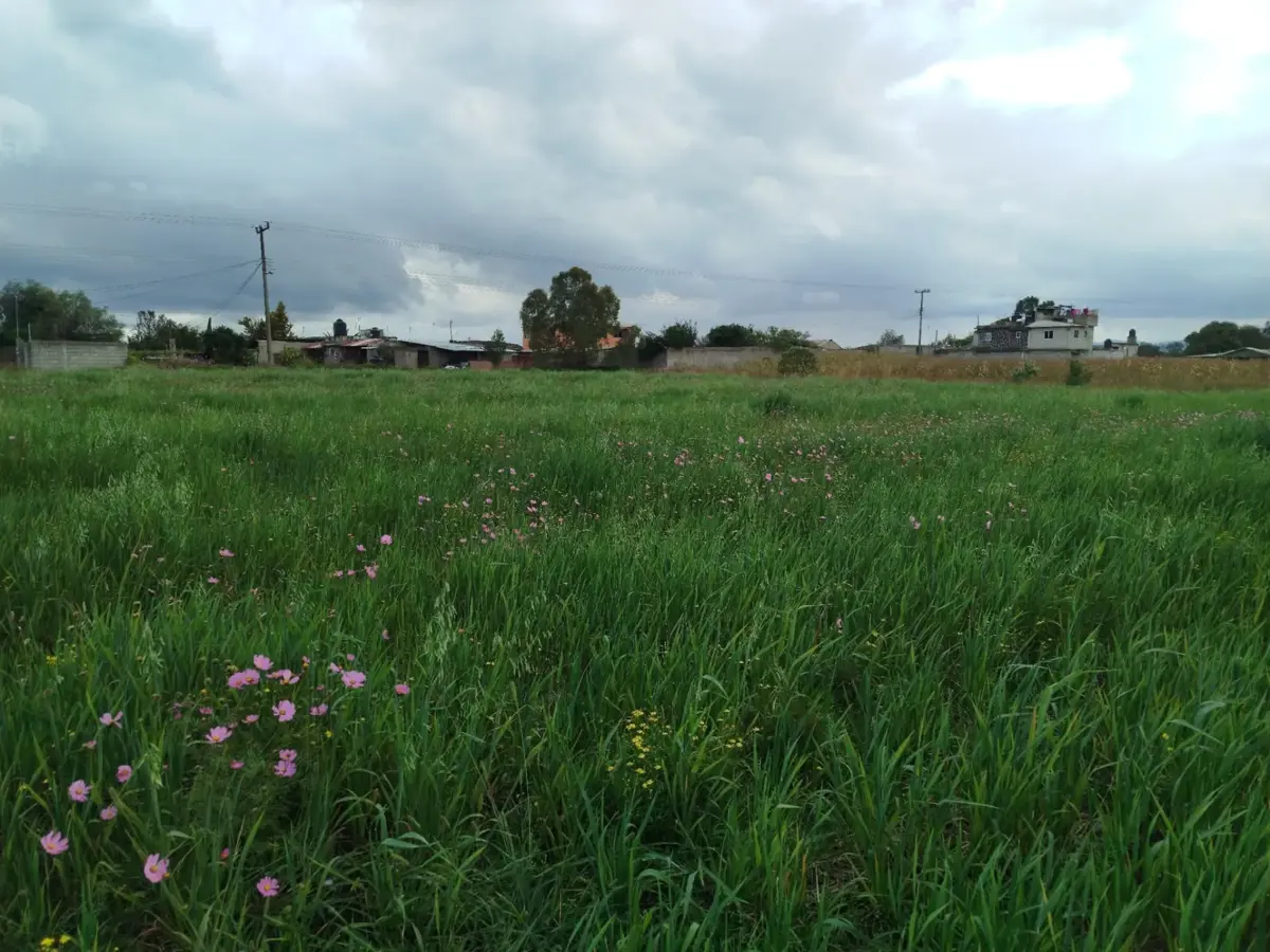 Terreno en venta en Xhimójay, Jilotepec — foto 1 de 7