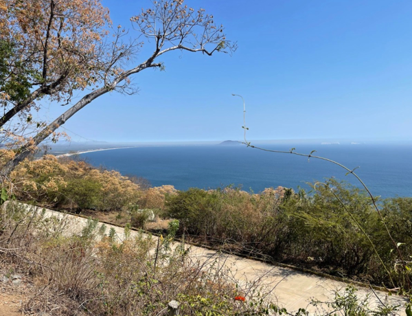 Terreno en venta en Lomas del Riscal, Zihuatanejo de Azueta — foto 3 de 8