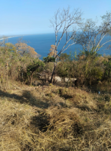 Terreno en venta en Lomas del Riscal, Zihuatanejo de Azueta — foto 2 de 8