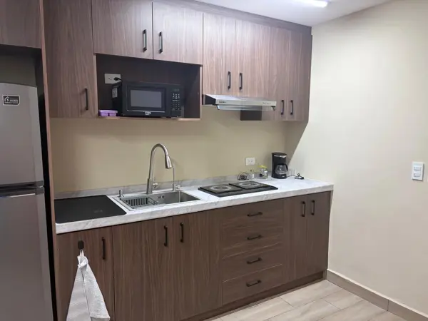 Departamento en renta en Contry Tesoro, Monterrey — foto 2 de 20