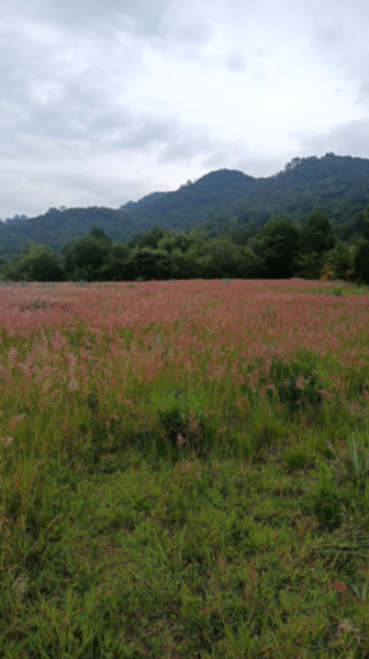 Terreno en venta en San Juan, Malinalco — foto 3 de 5