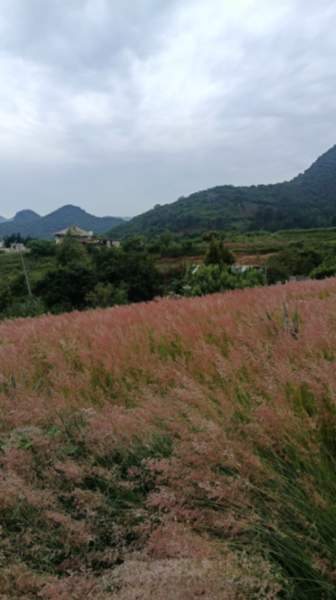 Terreno en venta en San Juan, Malinalco — foto 2 de 5