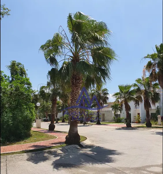 Casa en venta en Playa Magna, Playa del Carmen — foto 2 de 14