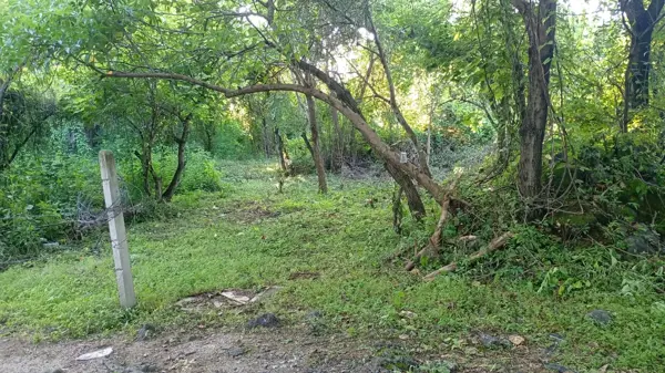 Terreno en venta en Santiago Tepetlapa, Tepoztlán — foto 2 de 2