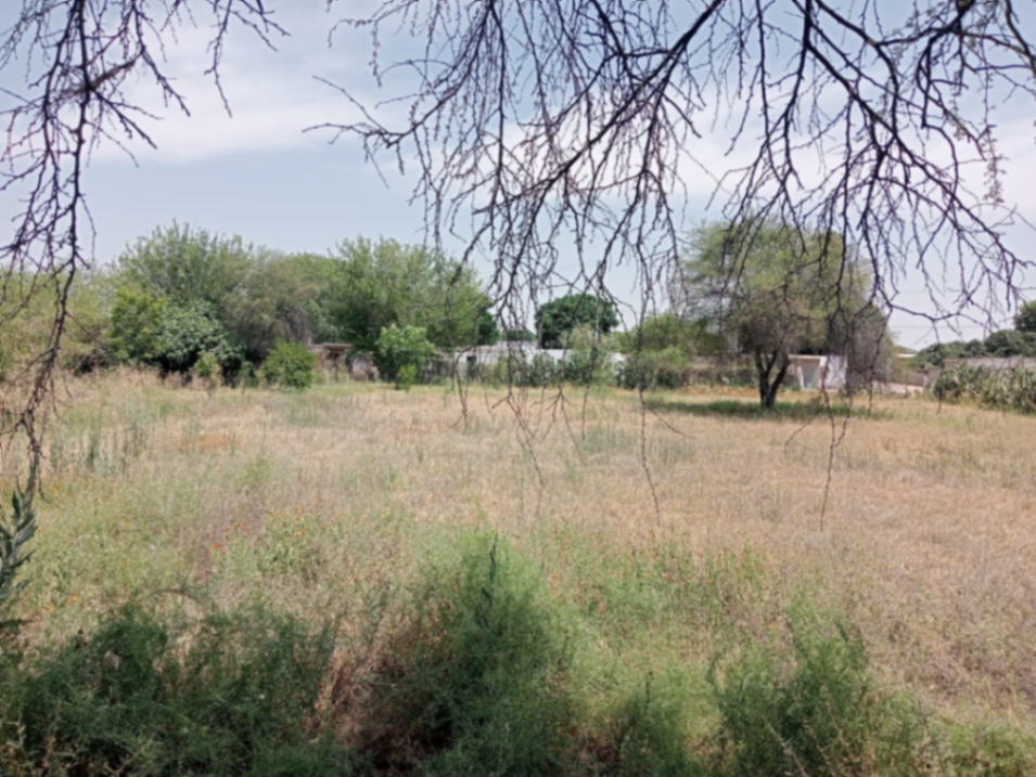 Terreno en venta en El Cariño, Gómez Palacio — foto 1 de 4