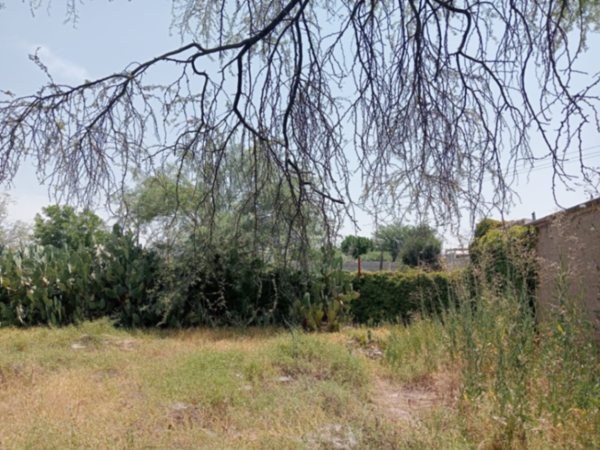 Terreno en venta en El Cariño, Gómez Palacio — foto 3 de 4