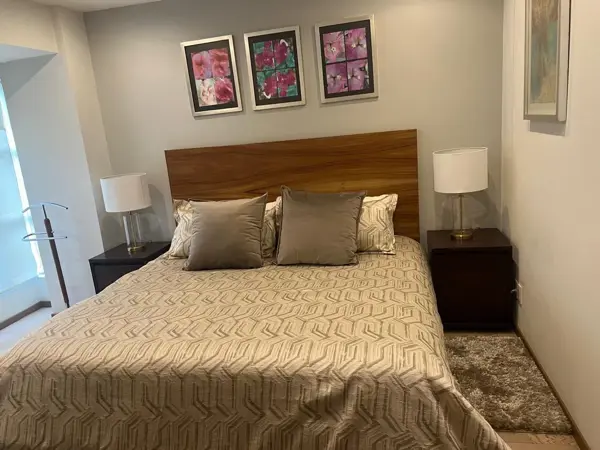 Departamento en renta en Polanco I Sección, Miguel Hidalgo — foto 3 de 25