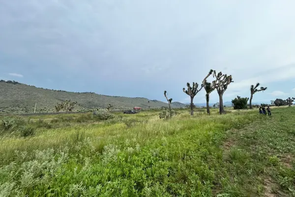 Terreno en venta en Huachichil (El Huache), Arteaga — foto 2 de 8