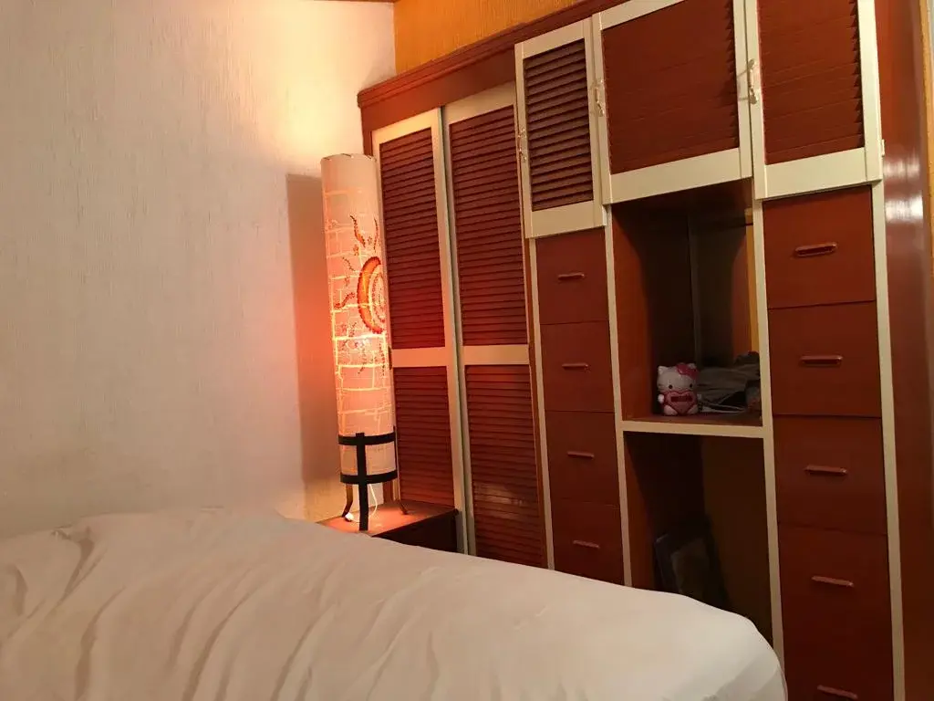 Vista 4 de CASA NUEVA AMUEBLADA DE 2 RECÁMARAS EN ACOLMAN