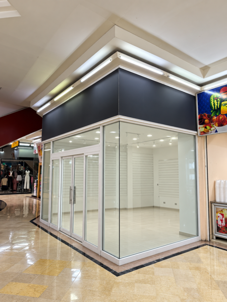 RENTA LOCAL EN PLAZA PATRIA