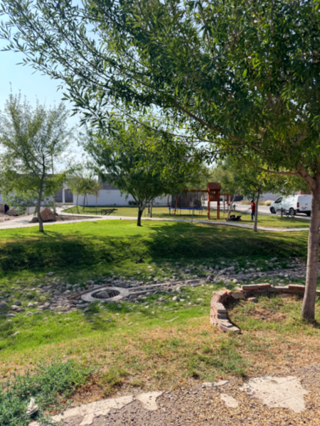 Terreno en venta en Campiñas de Iberia, Torreón — foto 3 de 4