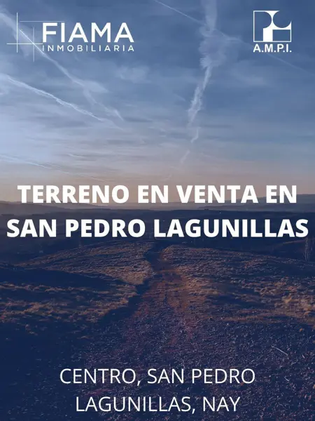 Terreno en venta en San Pedro Lagunillas, San Pedro Lagunillas — foto 3 de 3