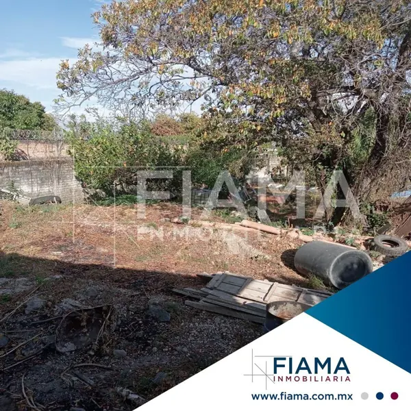 Terreno en venta en Moctezuma, Tepic — foto 3 de 10