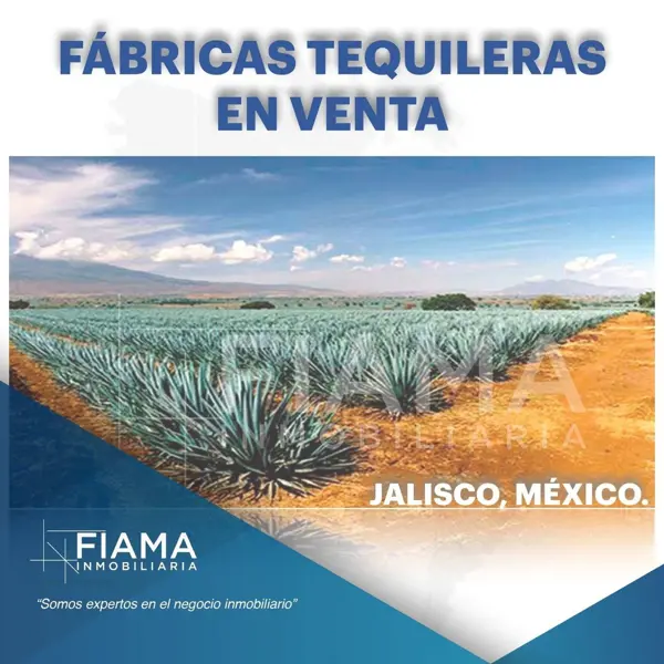 FABRICA TEQUILERA EN VENTA ,JALISCO.
