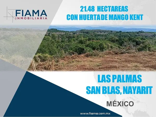 HECTÁREAS EN VENTA CON HUERTA DE MANGO EN LAS PALMAS, SAN BLAS, NAY. (F)