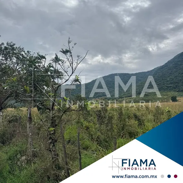 Terreno en venta en Puerta de la Laguna, Tepic — foto 2 de 10