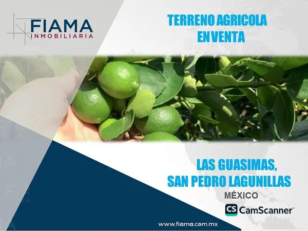 TERRENO AGRICOLA EN VENTA LAS GUASIMAS, MUNICIPIO DE SAN PEDRO LAGUNILLAS, NAY.