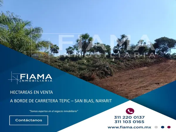 TERRENO DE GRAN EXTENSIÓN EN VENTA SOBRE CARRETERA TEPIC–SAN BLAS. (G)