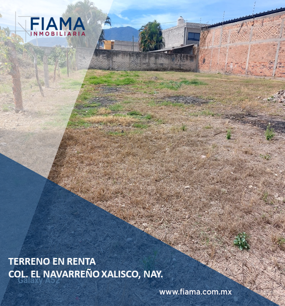 TERRENO EN RENTA COL. NAVARREÑO XALISCO,NAY.(F)