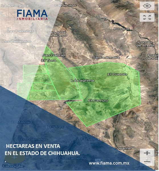 HECTAREAS EN VENTA EN EL EDO. DE CHIHUAHUA