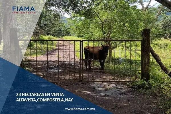 23 HECTÁREAS EN VENTA EN ALTAVISTA, COMPOSTELA, NAY.(EN)