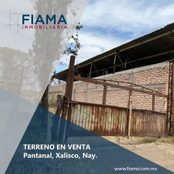 HECTAREA EN VENTA EN NUEVO BLVD PANTANAL - XALISCO, NAY. (EL)
