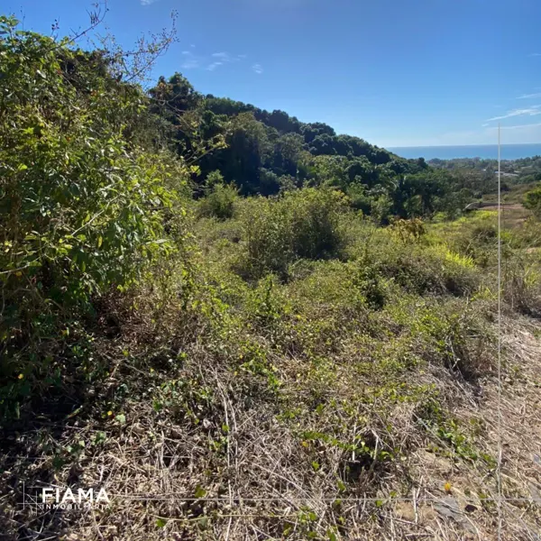 Terreno en venta en Aticama, San Blas — foto 3 de 8