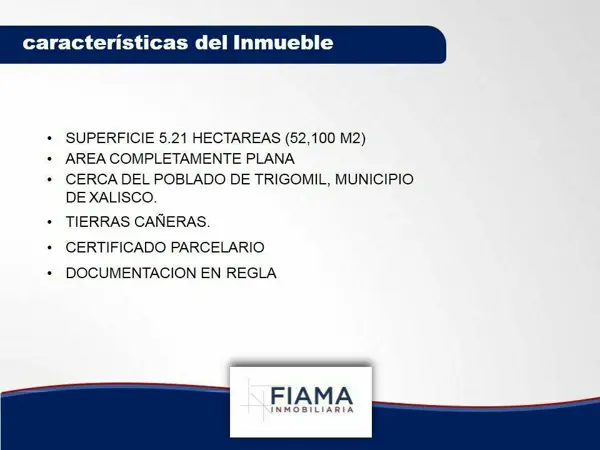 Terreno en venta en Trigomil, Xalisco — foto 3 de 7