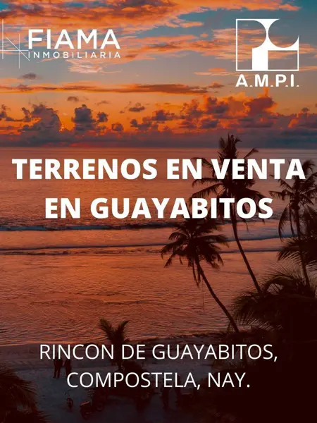 Terreno en venta en Rincon de Guayabitos, Compostela — foto 3 de 3