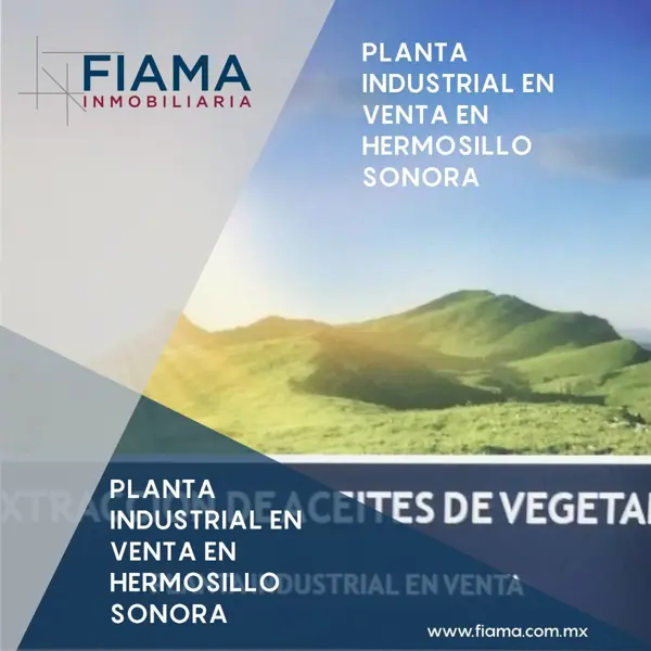 PLANTA INDUSTRIAL EN VENTA EN SONORA (VER. DISP)