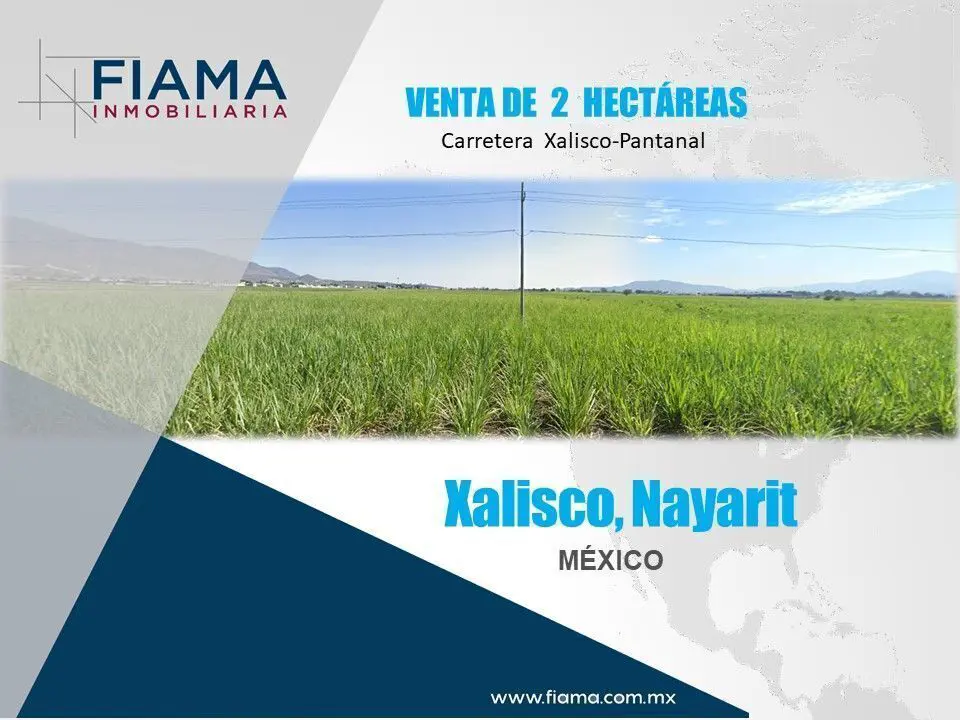 Terreno en venta en Pantanal, Xalisco — foto 1 de 14