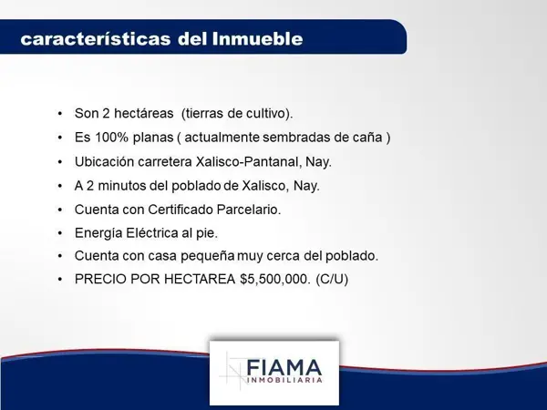 Terreno en venta en Pantanal, Xalisco — foto 2 de 14