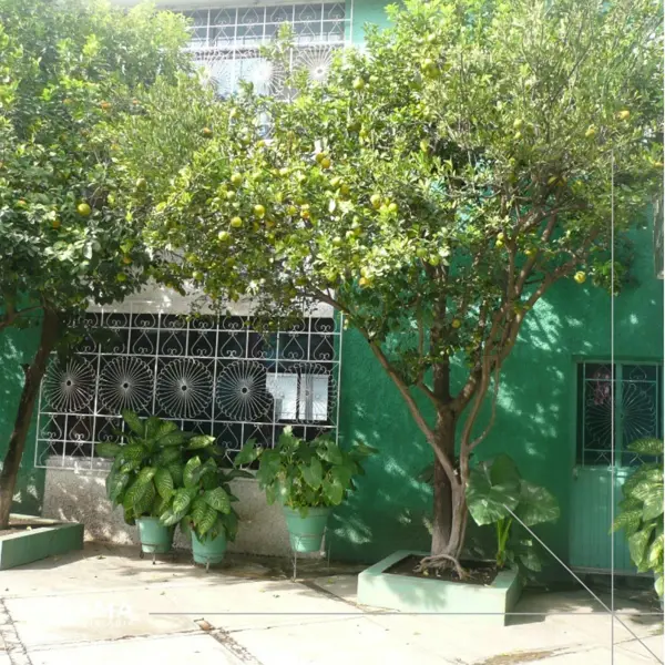 Casa en venta en Los Sauces, Tepic — foto 3 de 12