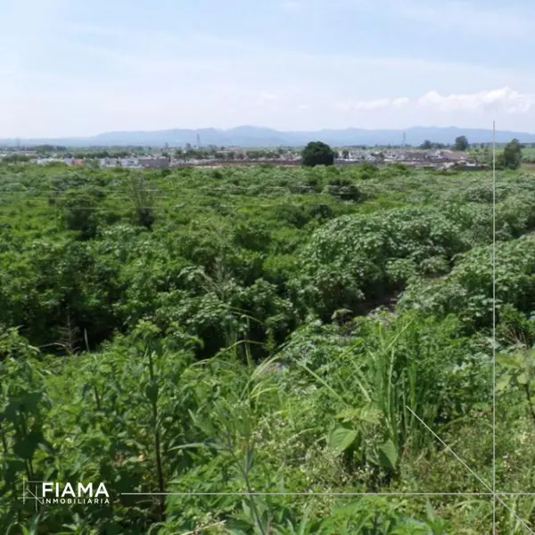 Terreno en venta en Paseo del Valle Real, Tepic — foto 3 de 7