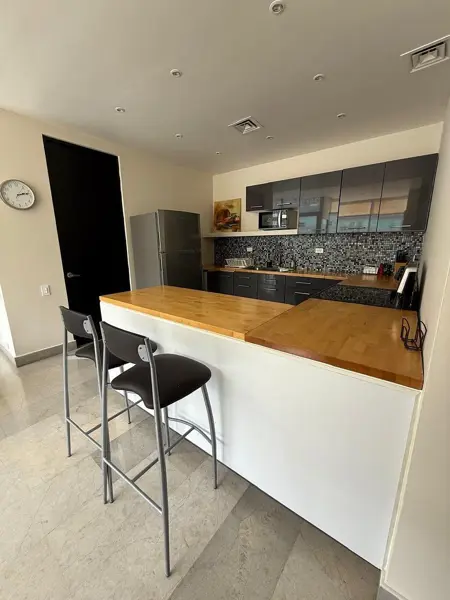 Departamento en renta en Zona Valle Oriente, San Pedro Garza García — foto 3 de 33