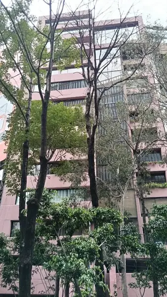 EXELENTE DEPARTAMENTO EN DOS NIVELES  IDEAL PARA EJECUTIVIOS , DIPLOMATICOS