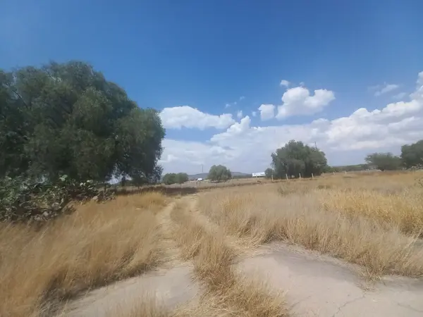 Terreno en venta en San Luis de la Paz Centro, San Luis de la Paz — foto 3 de 3