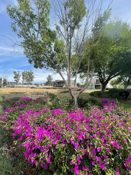 Terreno en Venta en Altozano, Terreno plano y uniforme de 454.87 m² — foto 1 de 4