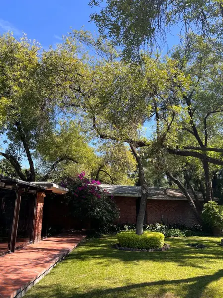 Terreno en venta en San Pedro, San Pedro Garza García — foto 3 de 7