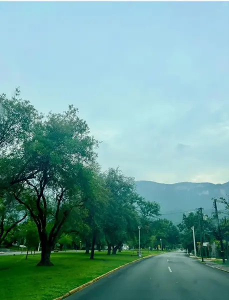 Terreno en venta en Hacienda El Rosario, San Pedro Garza García — foto 3 de 6